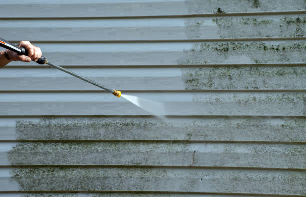 Animal Enclosure Cleaning in Jamestown, NY